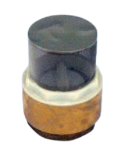 Strainer Check Valve
