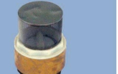 Foot valve with screen