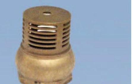 Foot valve
