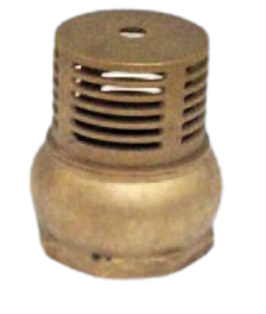 Fit Strainer Check Valve
