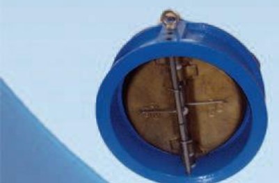Double-flap check valve