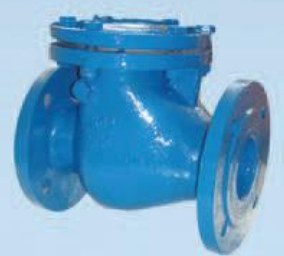 Single-flap check valve