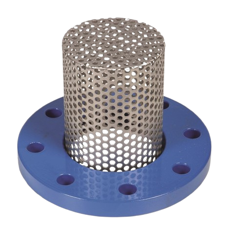 Flanged Strainer