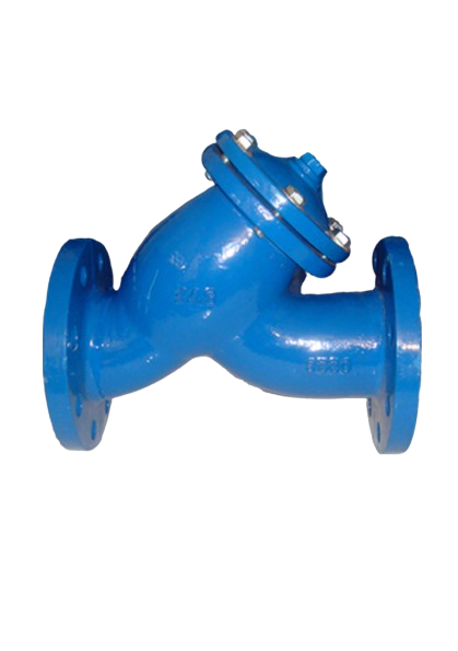 Y Strainer with Flange