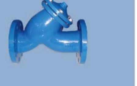 Y-strainer with flange